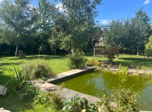 Rear garden and pond- click for photo gallery